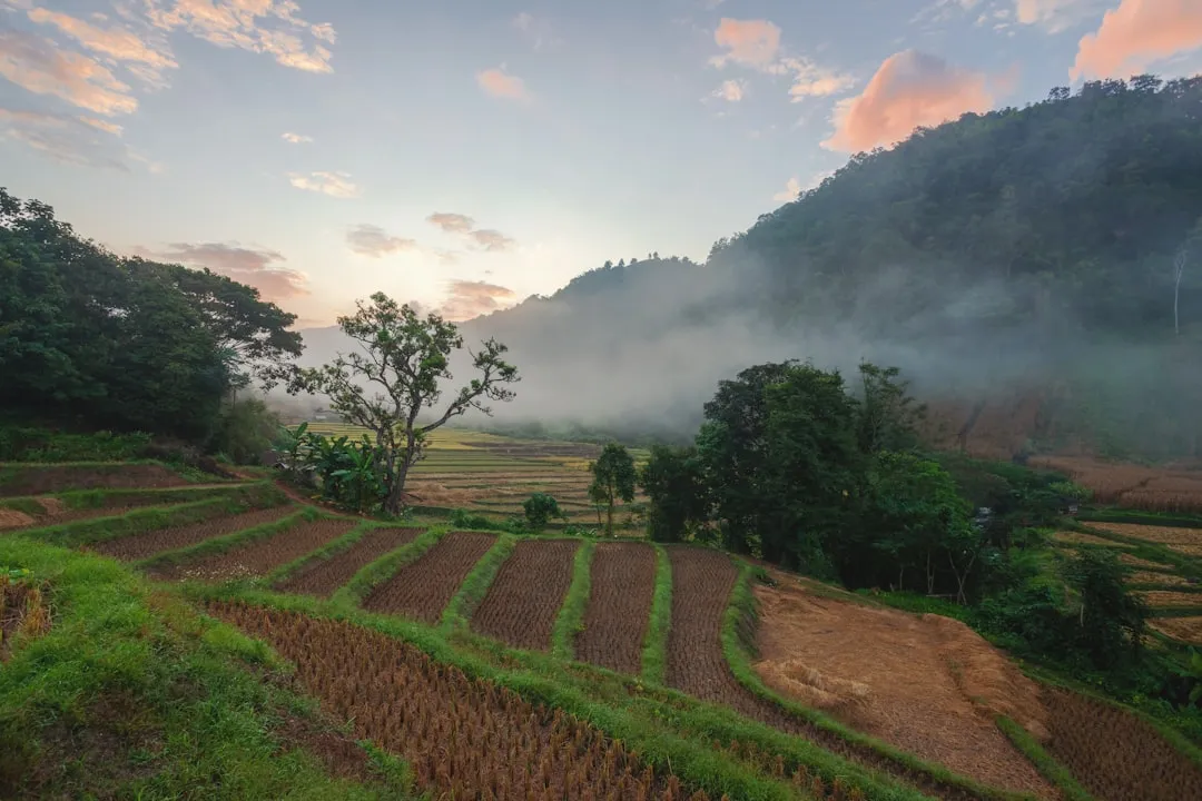杭州阅景生物解析抗体试剂在ELISA实验中的关键质量指标