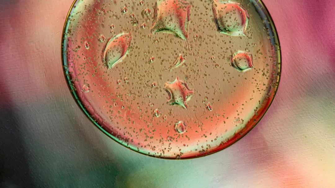 核酸提取试剂质量对PCR检测结果影响的对比分析