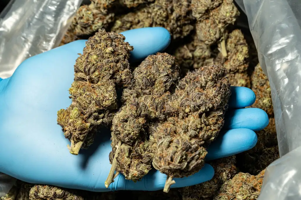杭州阅景生物PCR试剂盒产品型号对比与性能参数分析